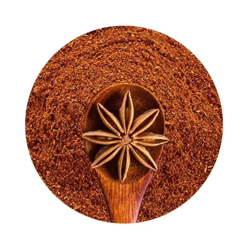 Naturaplaza Steranijs Fijn Gesneden Biologisch Sale