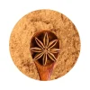Naturaplaza Steranijs Poeder Biologisch New