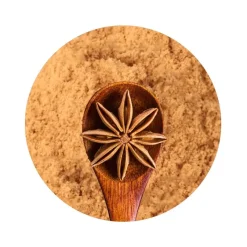 Naturaplaza Steranijs Poeder Biologisch New