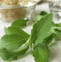 Naturaplaza Stevia Extract Poeder RebA60 Regular Outlet
