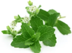 Naturaplaza Stevia Extract Zoetjes RebA60 Regular Best