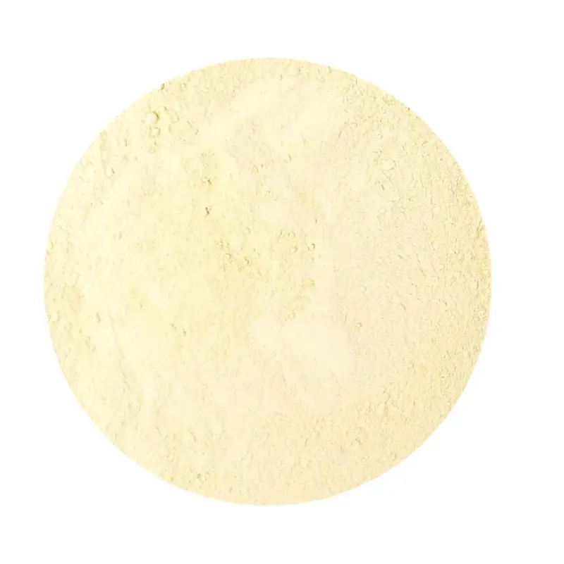 Naturaplaza Trilzwam Poeder Tremella fuciformis Biologisch Hot