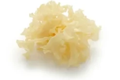 Naturaplaza Trilzwam Poeder Tremella fuciformis Biologisch Hot