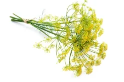 Naturaplaza Venkel Heel Geroosterd Biologisch kiemarm Discount