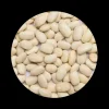 Naturaplaza Witte bonen medium heel Biologisch New