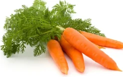 Naturaplaza Wortel Sap Concentraat Poeder Biologisch Best